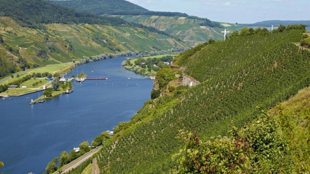 Moselschleife bei Wintrich mit Weinbergen und dem Großen Herrgott