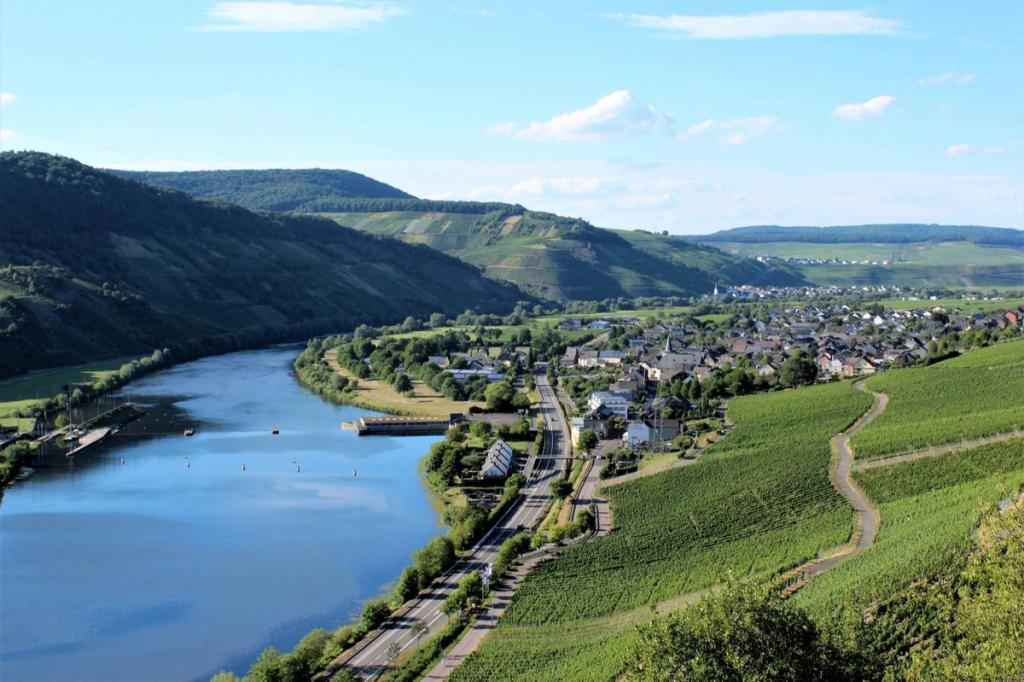 Blick über Wintrich, die Mosel und die Weinberge